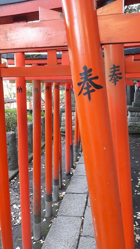Poster, Torii, Temple Nezu-Jinja, Tokyo (Japon)