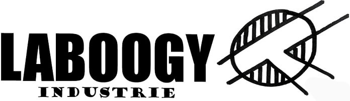 Logo_boogy copie
