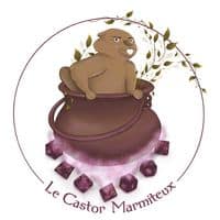 Le castor marmiteux - Bar à jeux - 4 rue du collège - 59380 Bergues - lecastormarmiteux@gmail.com
